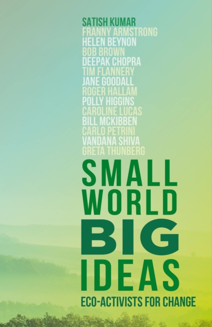 Image for Small World, Big Ideas : Eco-Activists for Change