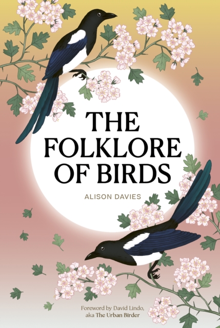 Image for The Folklore of Birds : The forgotten tales behind nature’s most enigmatic creatures