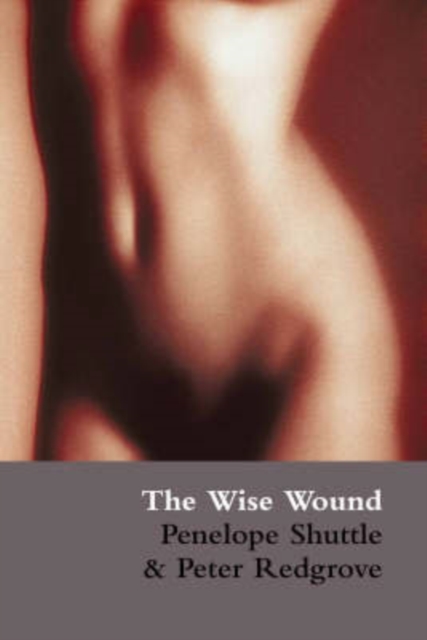 Image for The Wise Wound : Menstruation and Everywoman