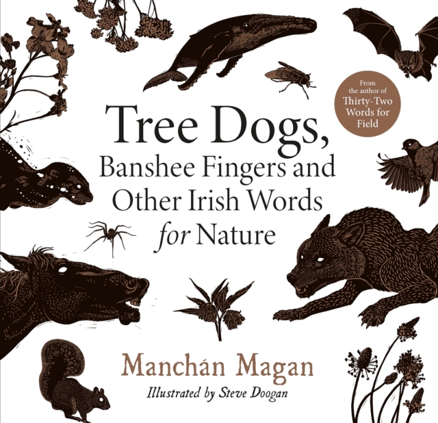 Image for Tree Dogs, Banshee Fingers and Other Irish Words for Nature