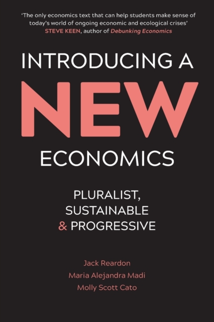 Image for Introducing a New Economics : Pluralist, Sustainable and Progressive