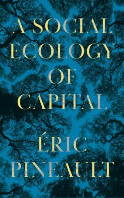 Image for A Social Ecology of Capital