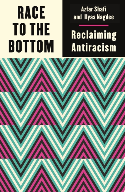 Image for Race to the Bottom : Reclaiming Antiracism