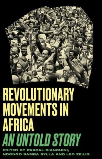 Image for Revolutionary Movements in Africa : An Untold Story