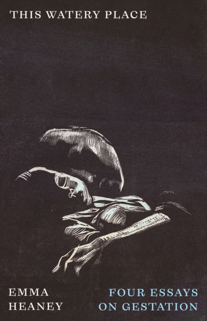 Image for This Watery Place : Four Essays on Gestation