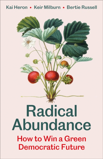 Image for Radical Abundance : How to Win a Green Democratic Future