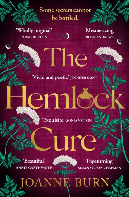 Image for The Hemlock Cure : A beautifully written story of the women of Eyam Jennifer Saint, author of ARIADNE