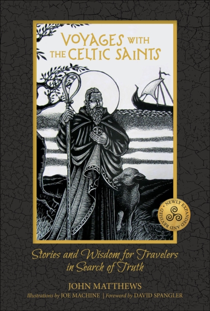Image for Voyages with the Celtic Saints : Stories and Wisdom for Travelers in Search of Truth