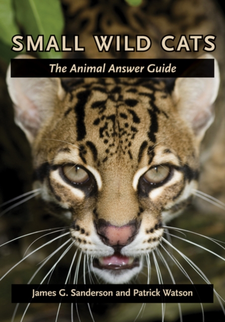 Image for Small Wild Cats : The Animal Answer Guide