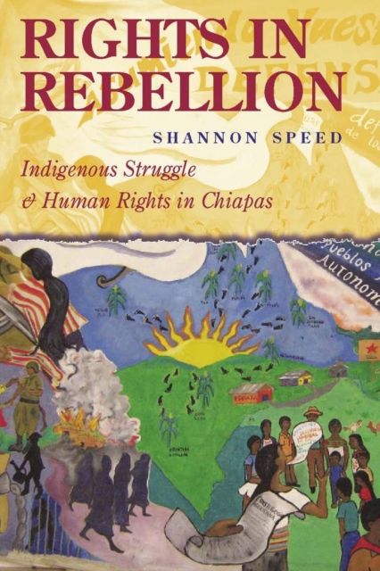 Image for Rights in Rebellion : Indigenous Struggle and Human Rights in Chiapas