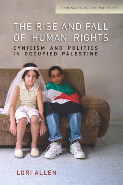 Image for The Rise and Fall of Human Rights : Cynicism and Politics in Occupied Palestine