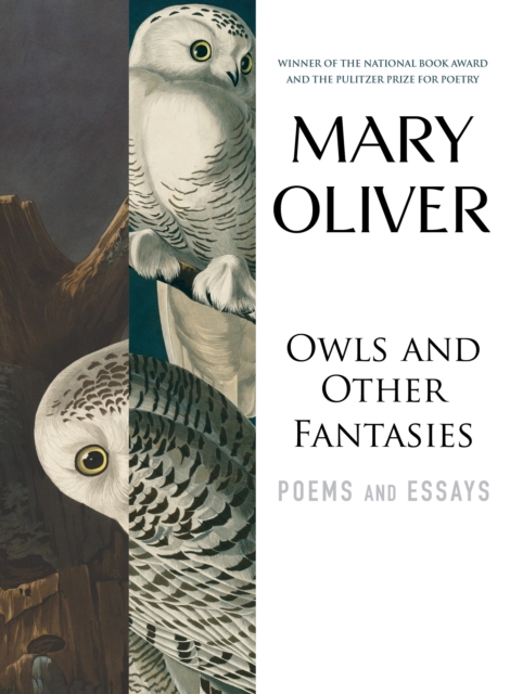 Image for Owls and Other Fantasies : Poems and Essays