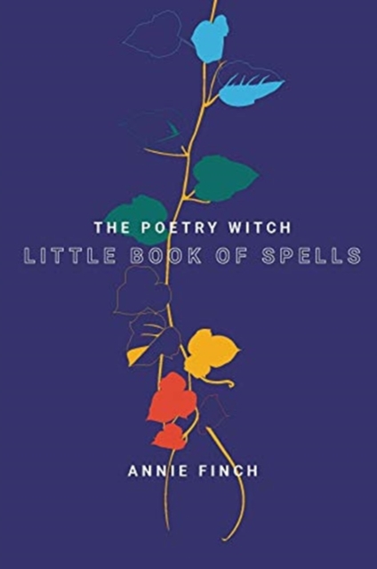 Image for The Poetry Witch Little Book of Spells