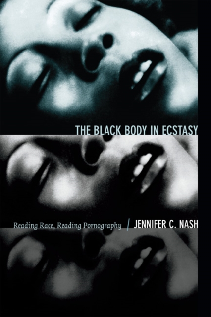 Image for The Black Body in Ecstasy : Reading Race, Reading Pornography