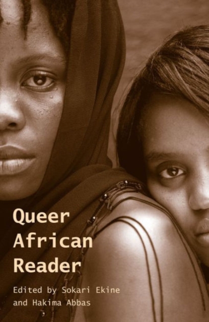 Image for Queer African Reader