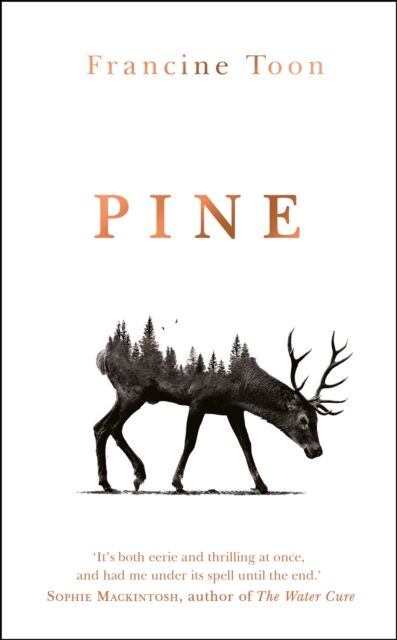 Image for Pine