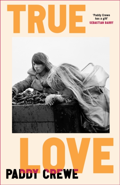 Image for True Love