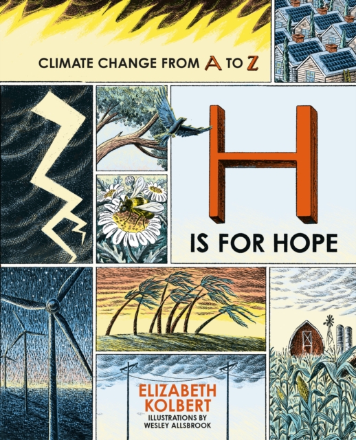Cover for: H is for Hope : Climate Change from A to Z