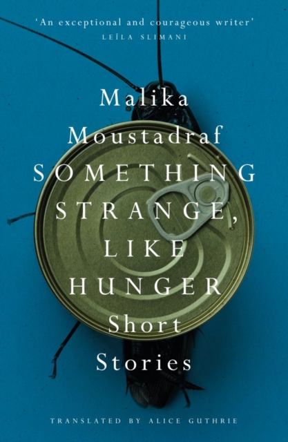 Image for Something Strange, Like Hunger : Short Stories