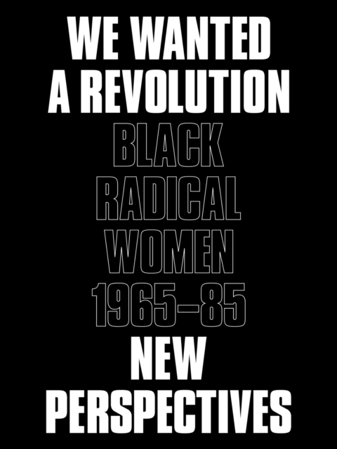 Image for We Wanted a Revolution : Black Radical Women, 1965-85: New Perspectives