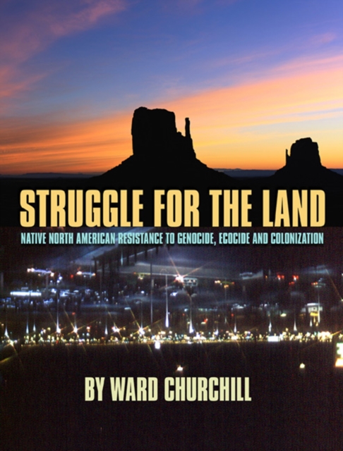 Image for Struggle for the Land : Native North American Resistance to Genocide, Ecocide, and Colonization