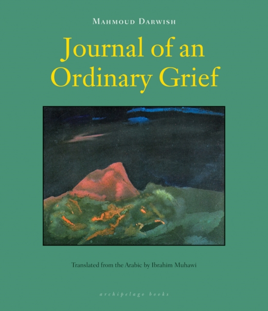 Image for Journal Of An Ordinary Grief
