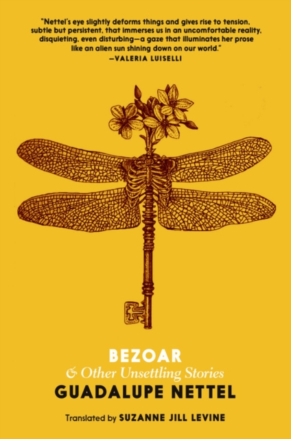 Image for Bezoar