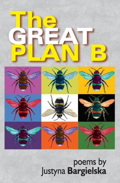 Image for Great Plan B