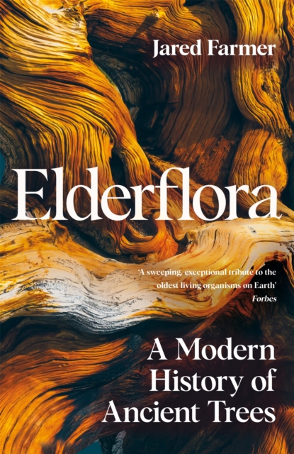 Image for Elderflora : A Modern History of Ancient Trees