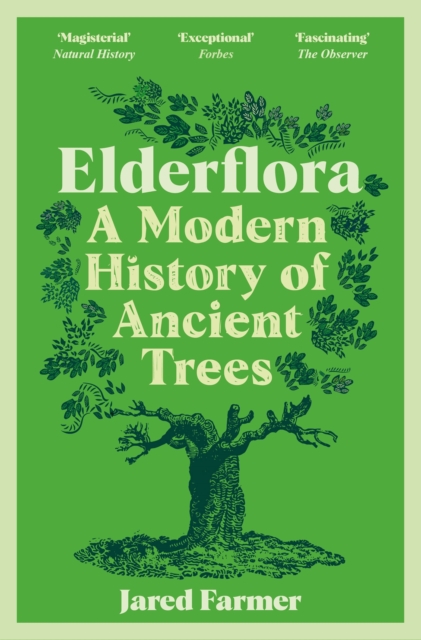 Image for Elderflora : A Modern History of Ancient Trees