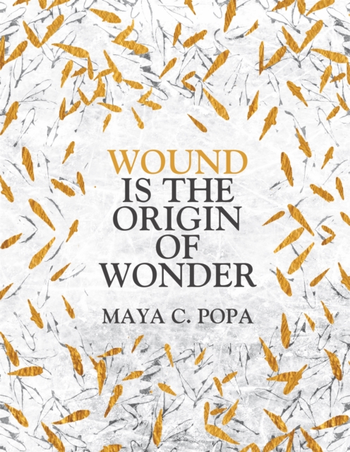 Cover for: Wound is the Origin of Wonder