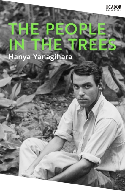Image for The People in the Trees : The Stunning First Novel from the Author of A Little Life
