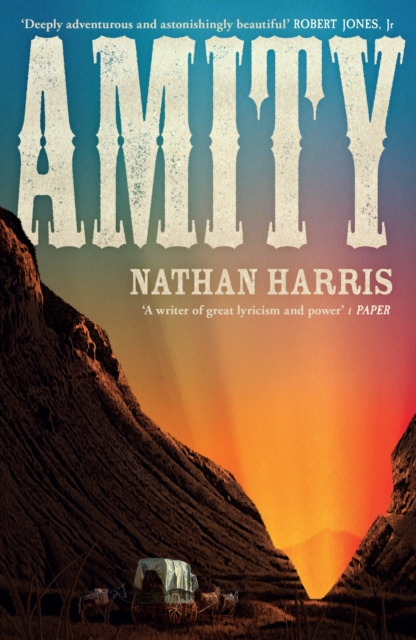 Image for AMITY : from the Booker-longlisted author of The Sweetness of Water