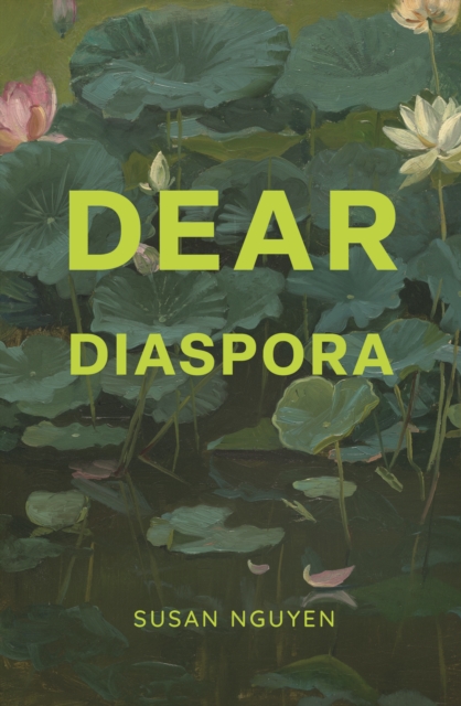 Image for Dear Diaspora