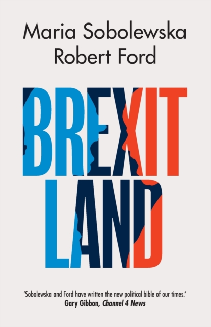 Image for Brexitland : Identity, Diversity and the Reshaping of British Politics