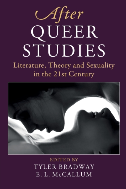 Image for After Queer Studies : Literature, Theory and Sexuality in the 21st Century