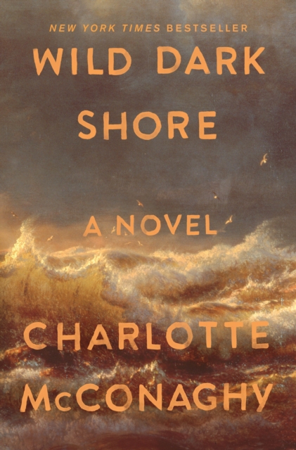 Image for Wild Dark Shore