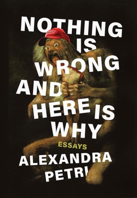 Image for Nothing Is Wrong and Here Is Why : Essays