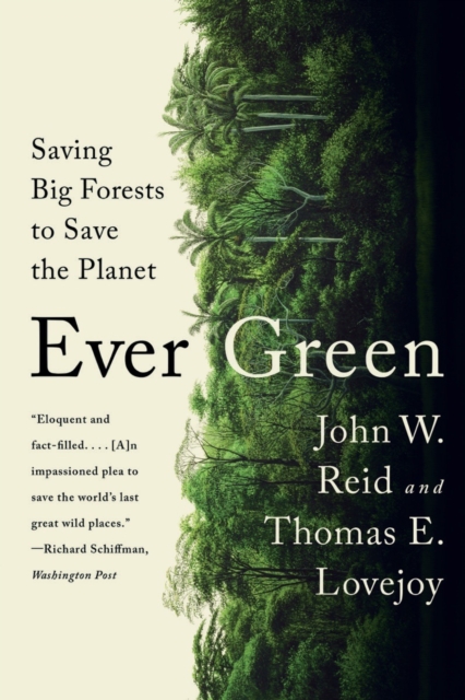Cover for: Ever Green : Saving Big Forests to Save the Planet