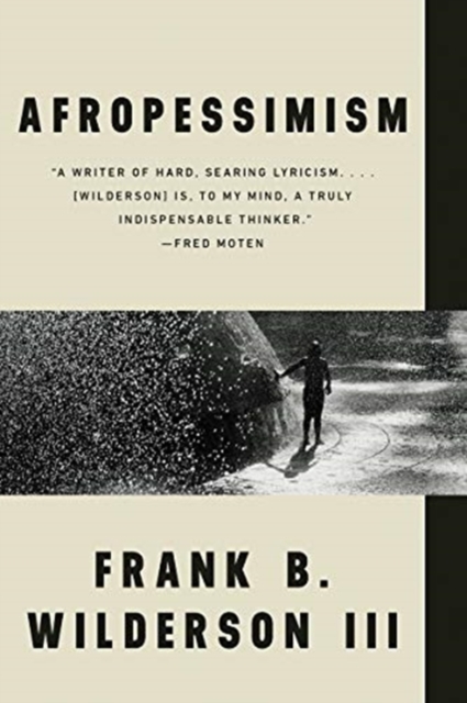 Image for Afropessimism