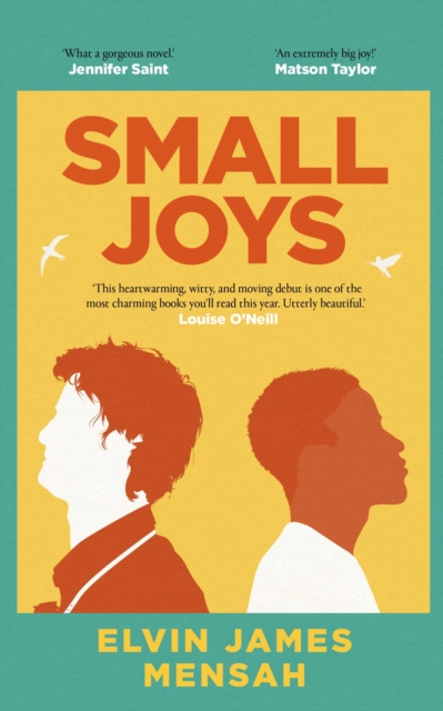Image for Small Joys : A Buzzfeed 'Amazing New Book You Need to Read ASAP'