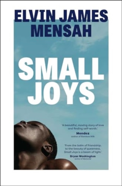 Image for Small Joys : A Buzzfeed 'Amazing New Book You Need to Read ASAP'