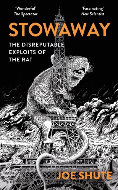 Image for Stowaway : The Disreputable Exploits of the Rat