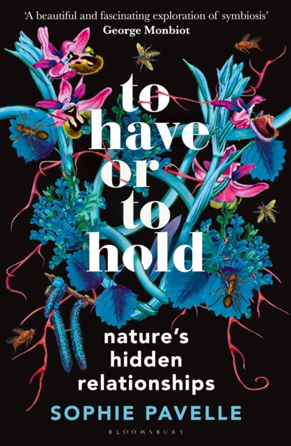 Image for To Have or To Hold : Nature's Hidden Relationships
