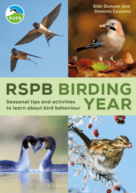 Image for RSPB Birding Year : Seasonal tips and activities to learn about bird behaviour