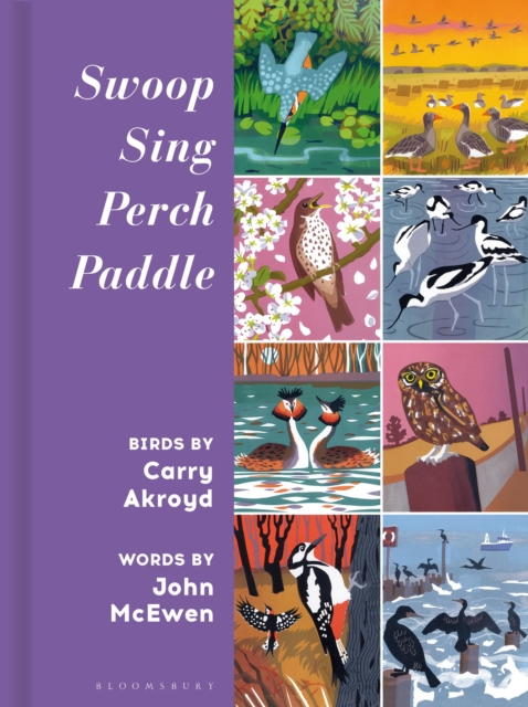 Image for Swoop Sing Perch Paddle : Birds by Carry Akroyd