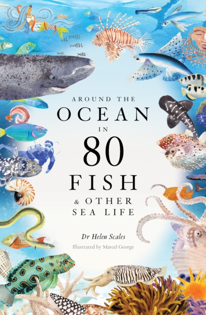 Cover for: Around the Ocean in 80 Fish and other Sea Life