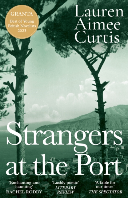 Image for Strangers at the Port : From one of Granta’s Best of Young British Novelists