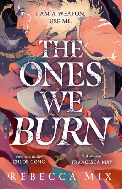 Image for The Ones We Burn : a dark epic young adult fantasy