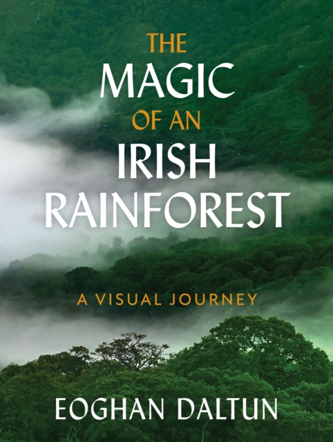 Cover for: The Magic of an Irish Rainforest : A Visual Journey